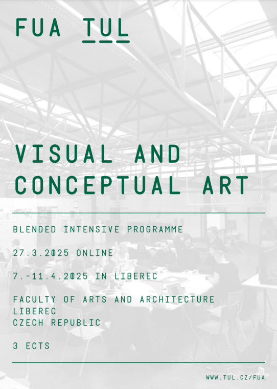 BIP Visual and conceptual Art