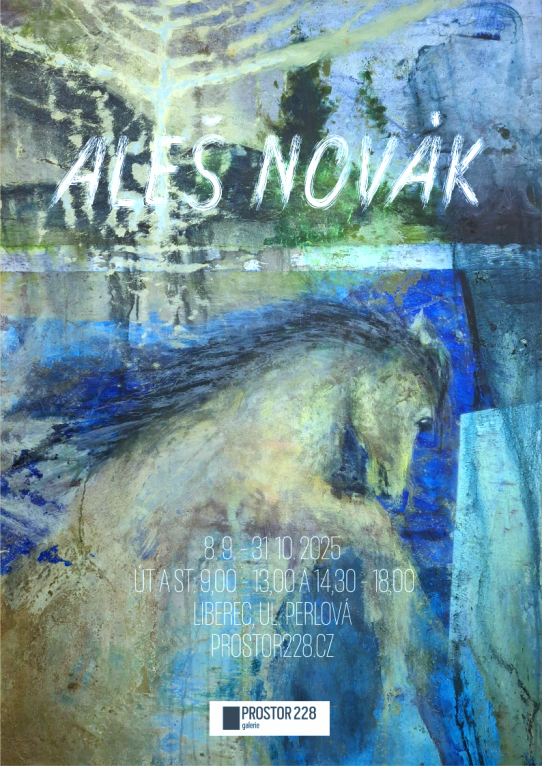 Výstava - Aleš Novák